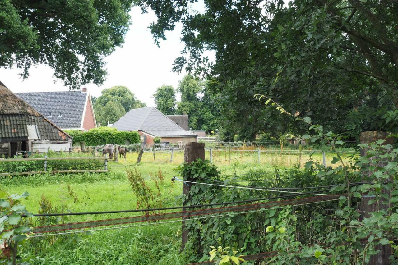 Het Centrum Norg Exteriör bild
